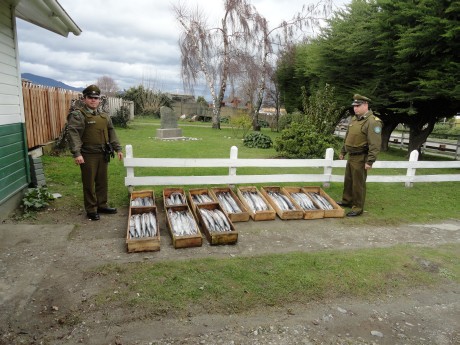 el tiempo en futrono