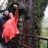 Parque Alerce Costero